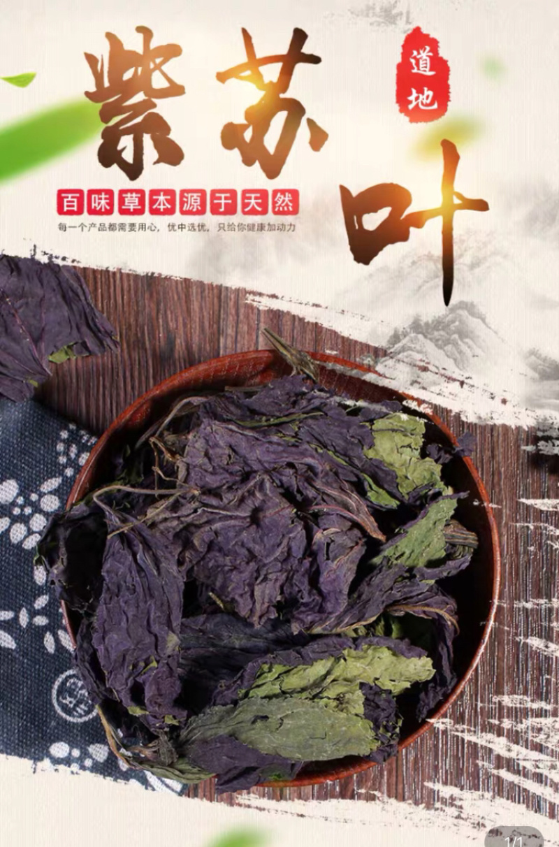 精品紫苏叶价格优惠便宜