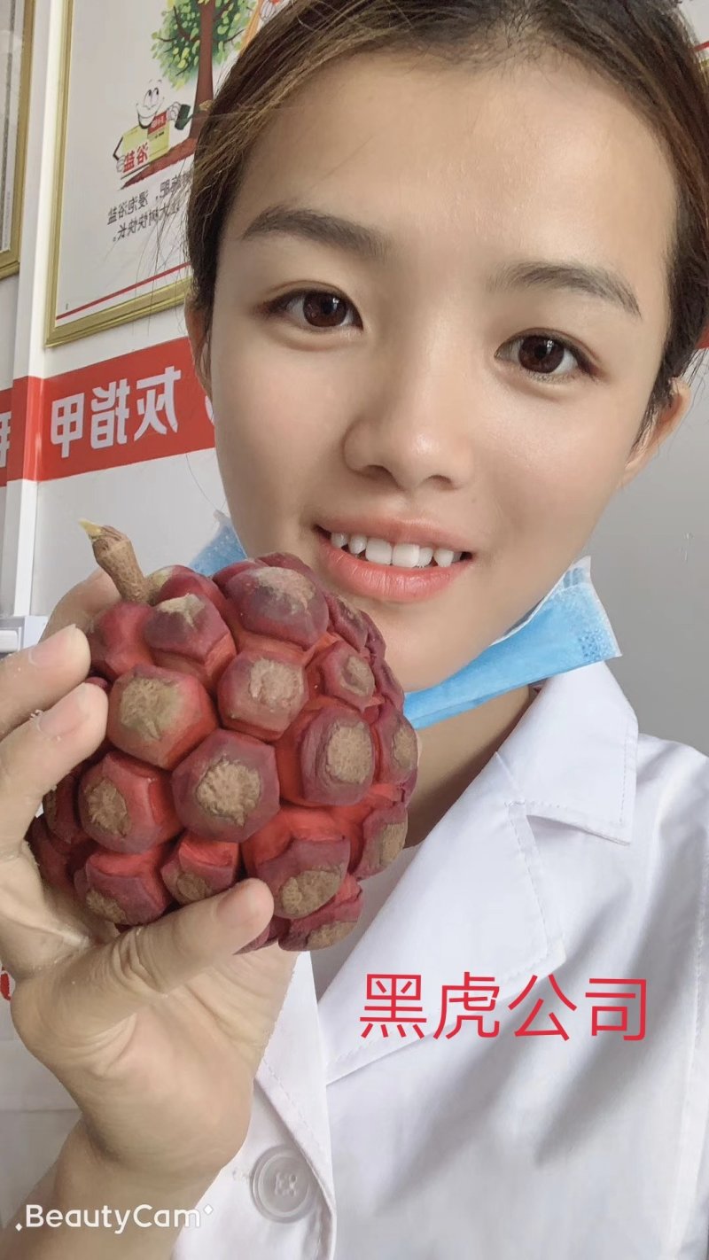 荒地广西来宾光伏合作作用