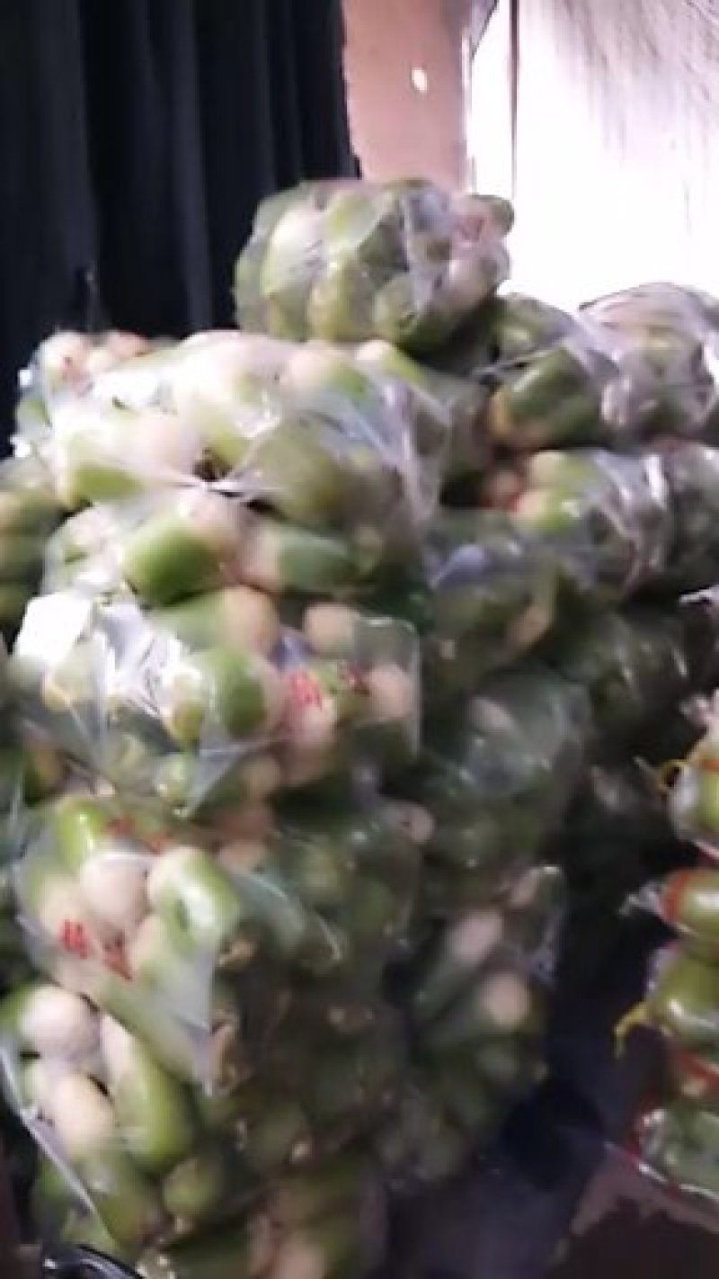 【推荐】露头青萝卜！现已上市！欢迎前来预订！保质保量