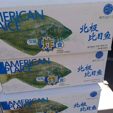 比目鱼（季节性底价货，食堂快餐，熟食店，冷链物流全国配送