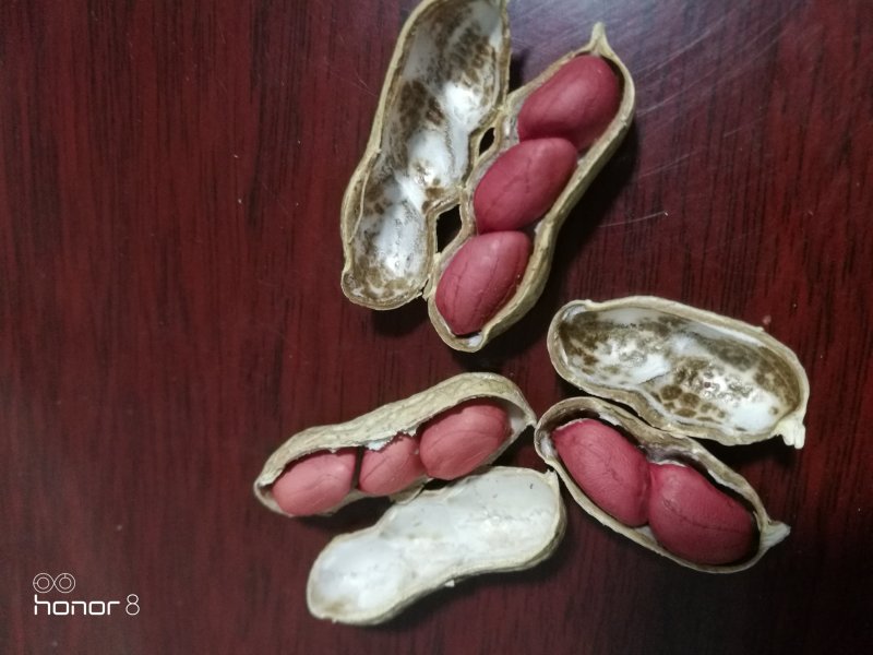 黑花生果，四粒红花生果，白沙果新货！