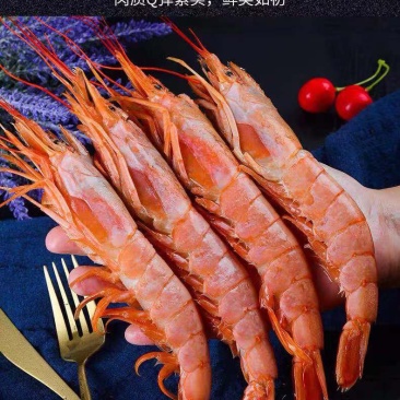 阿根廷红虾大虾个大肉肥大红虾