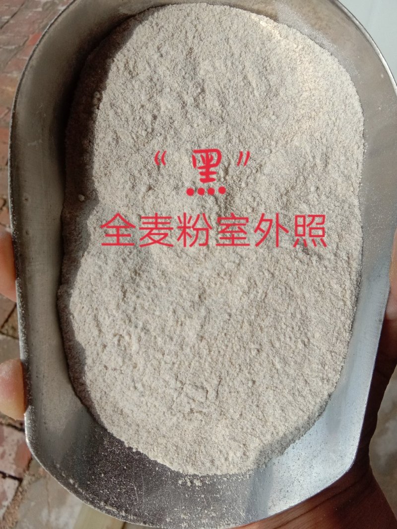 黑小麦-优质特高筋咖啡黑运费待议（不包邮）