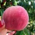 血桃树苗基地直发,现挖现卖包成果活结果下单就送生根粉