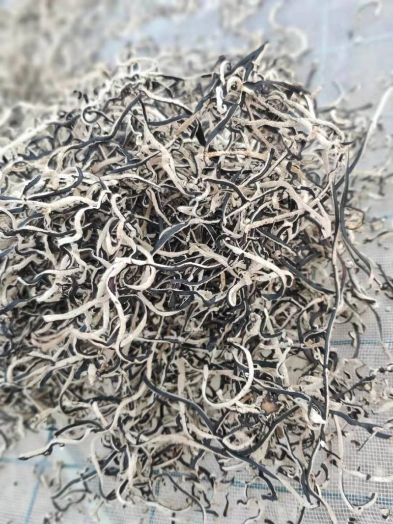 精品毛木耳丝工厂加工产地直销品种齐全量大价优