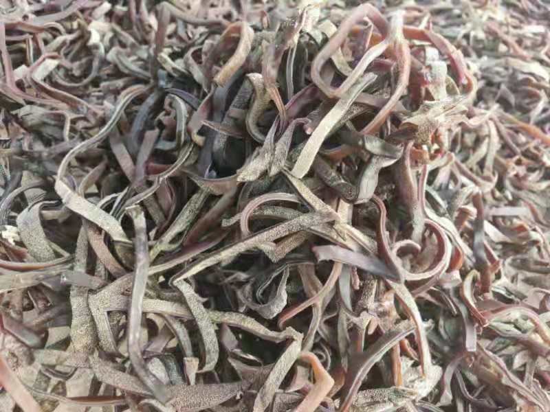 精品毛木耳丝工厂加工产地直销品种齐全量大价优