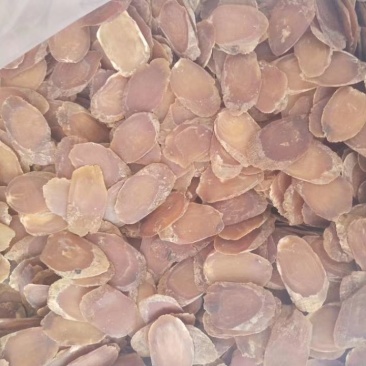 五年人参大中小片片片带有菊花纹