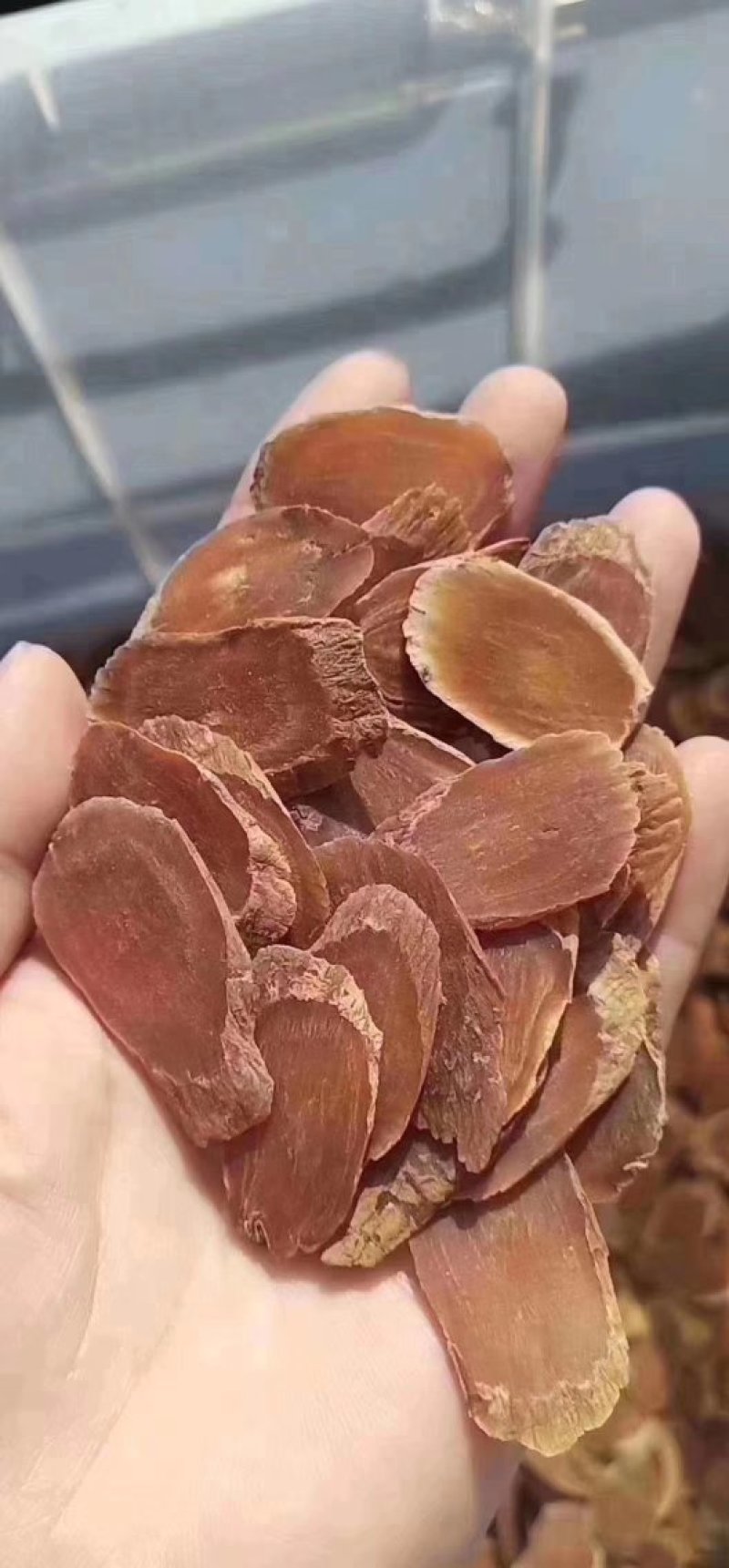 五年人参大中小片片片带有菊花纹