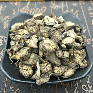 破骨风破膝风花木通钻骨风老鹰柴无硫净货保正品批发零售