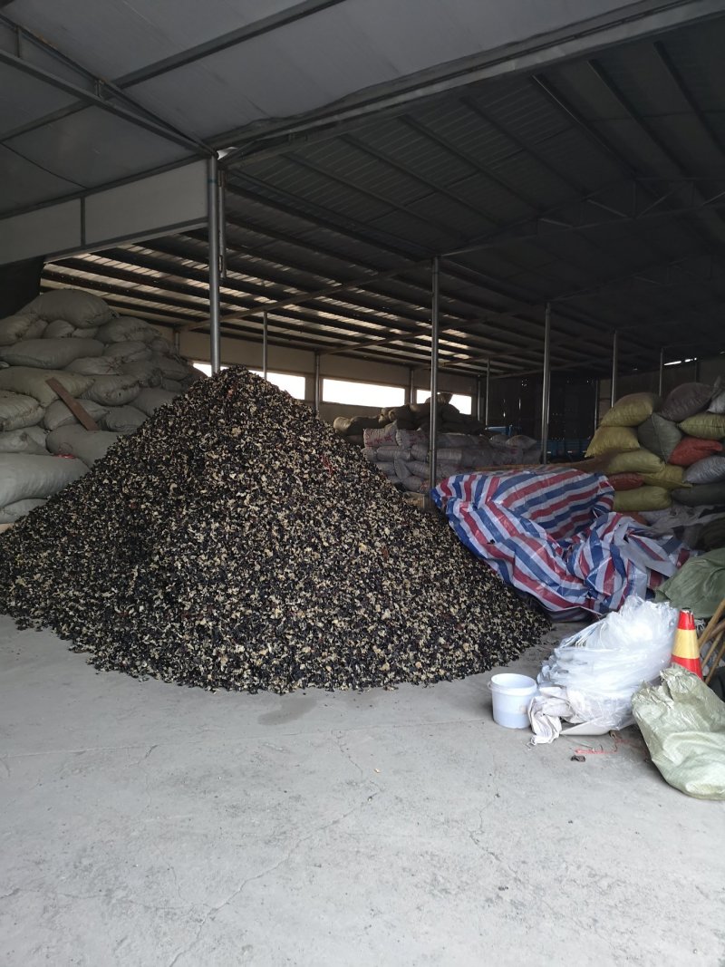 毛木耳水洗三公分以上产地直销品种齐全，量大价优