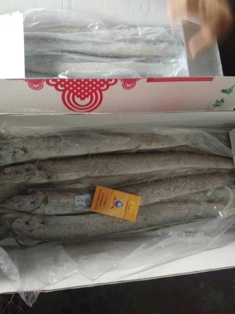 舟山精品带鱼礼品盒，舟山带鱼，热带带鱼，个大色白，
