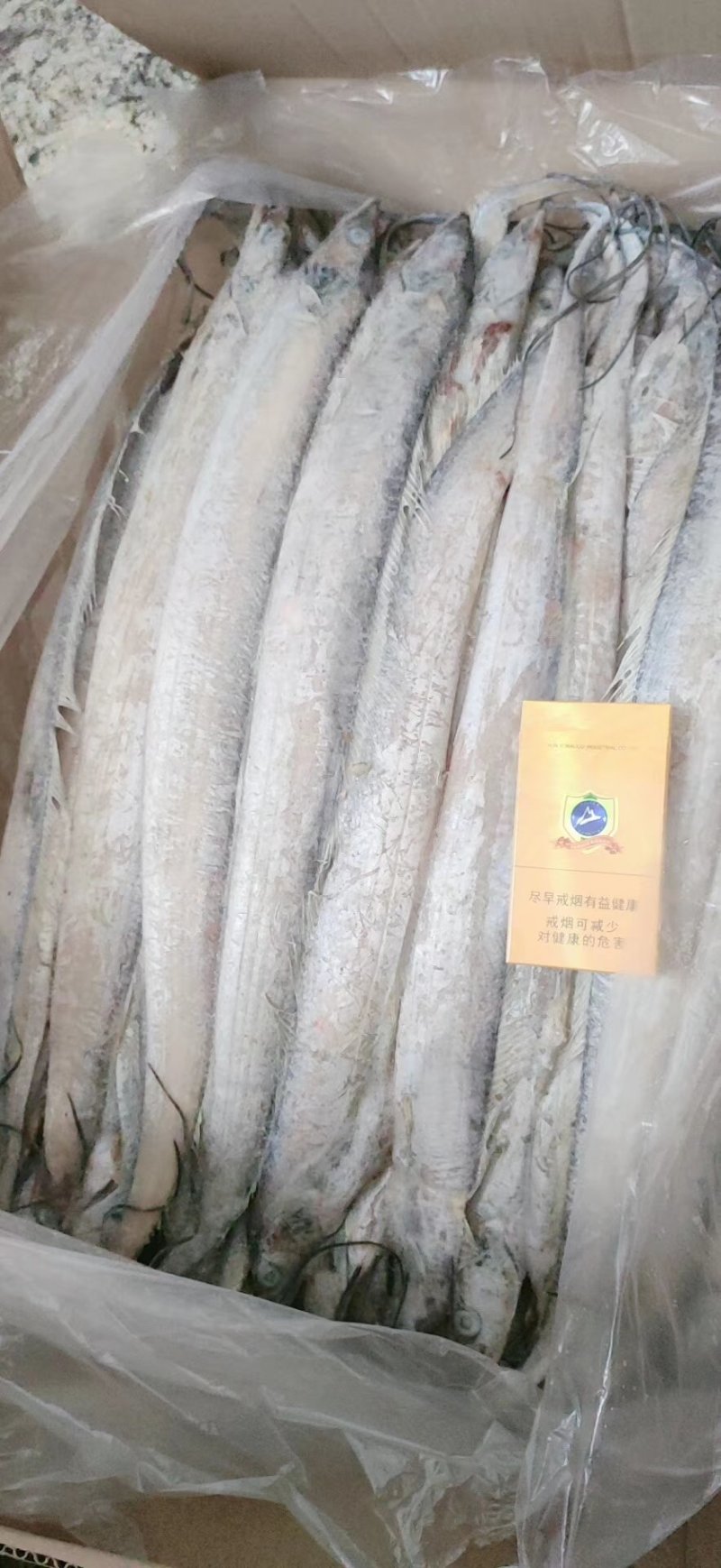 舟山精品带鱼礼品盒，舟山带鱼，热带带鱼，个大色白，