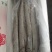 舟山精品带鱼礼品盒，舟山带鱼，热带带鱼，个大色白，