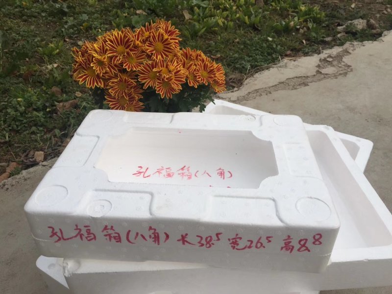 草莓包装泡沫箱