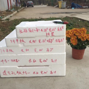 草莓包装泡沫箱