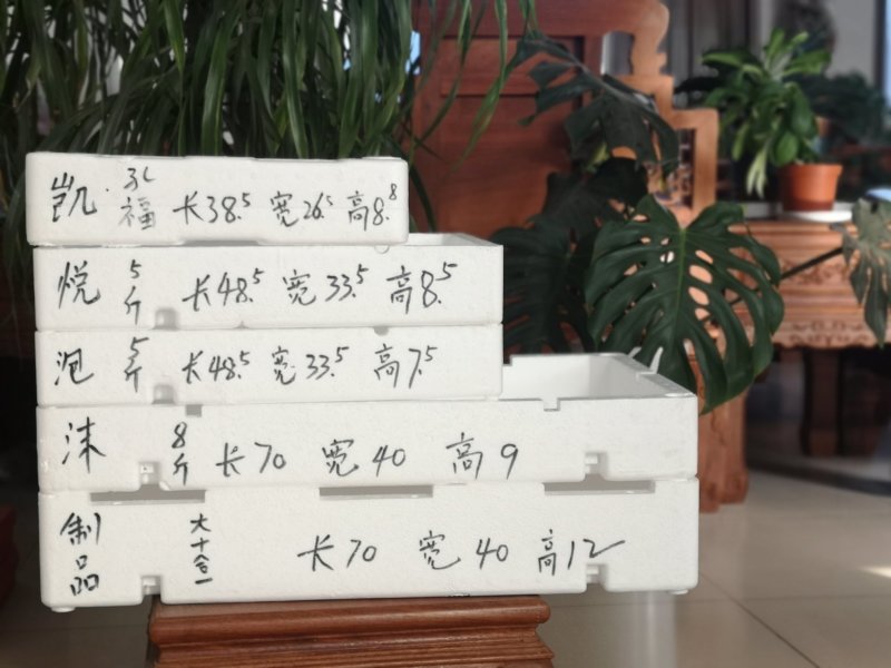 草莓包装泡沫箱