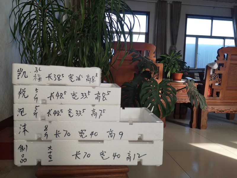 草莓包装泡沫箱