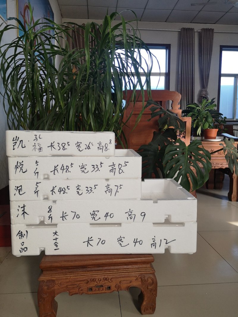 草莓包装泡沫箱