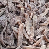 长白山野生天麻，种植天麻