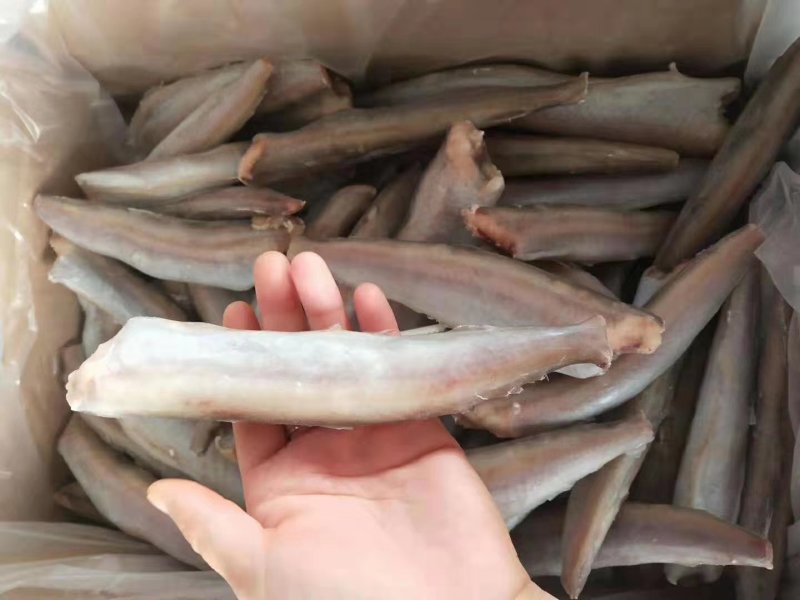 三去鳕鱼，单冻鳕鱼，远洋捕捞