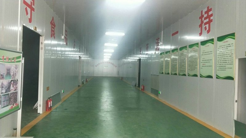 【量大价优】榆耳产地直销食用菌当季新货品种齐全