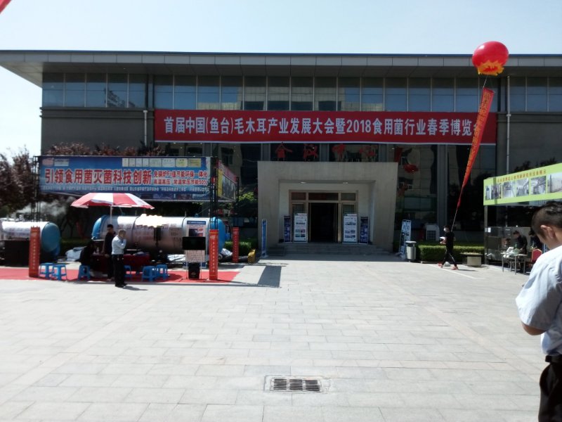 【量大价优】榆耳产地直销食用菌当季新货品种齐全