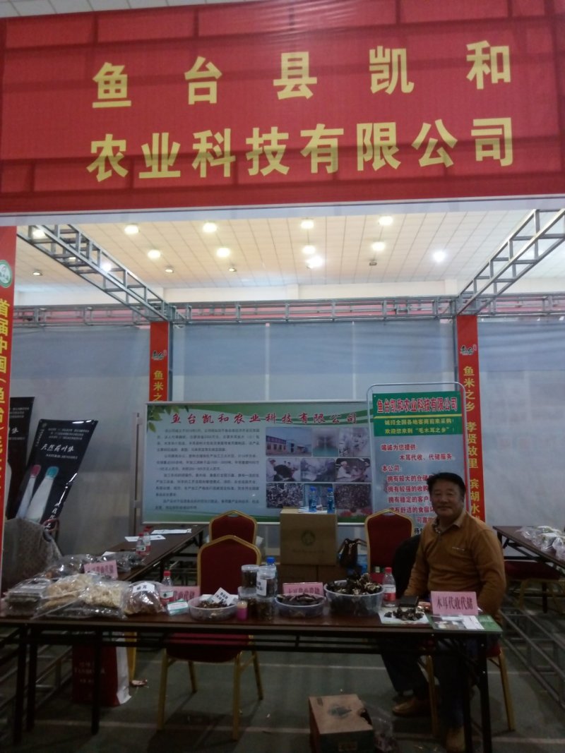 【量大价优】榆耳产地直销食用菌当季新货品种齐全
