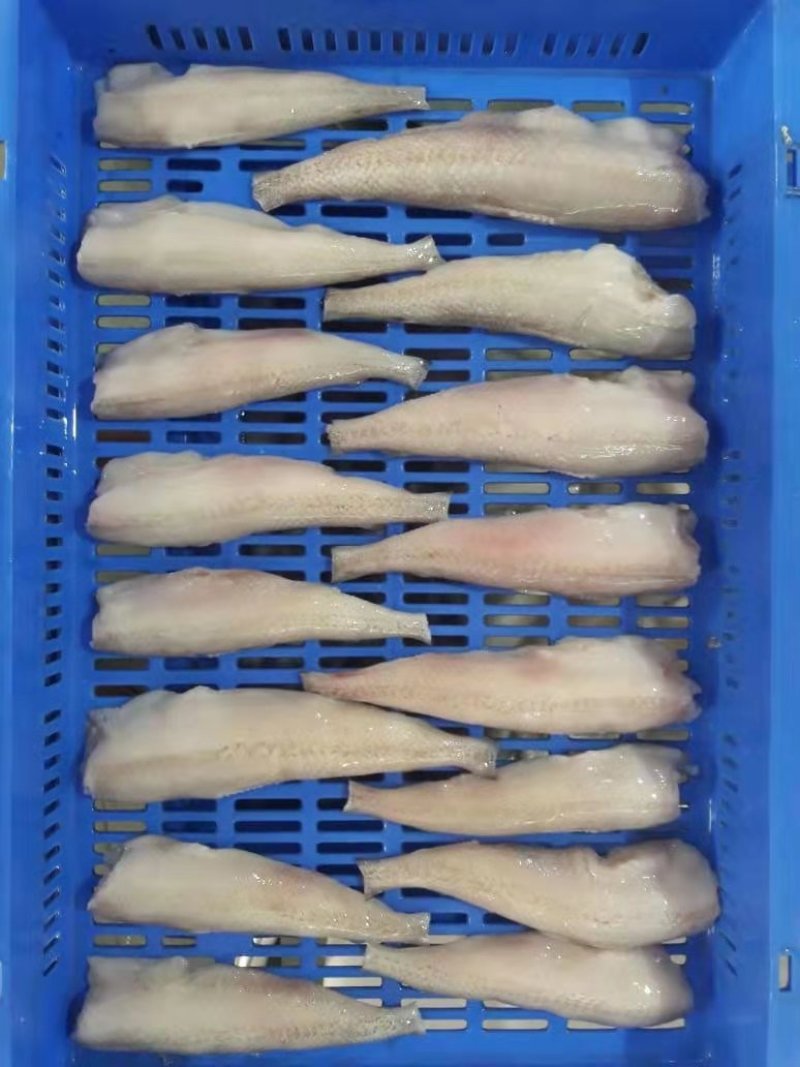 三去鳕鱼，单冻鳕鱼，远洋捕捞