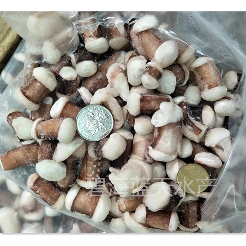 新鲜冷冻章鱼粒8斤章鱼丁海鲜商用章鱼小丸子八爪足鱿鱼切粒
