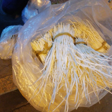 洋参须子