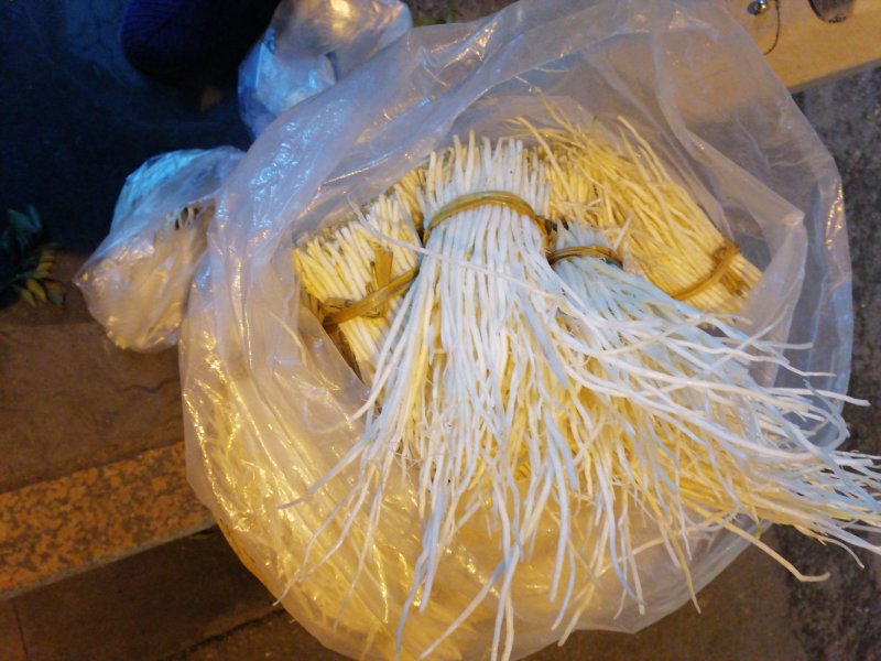 洋参须子