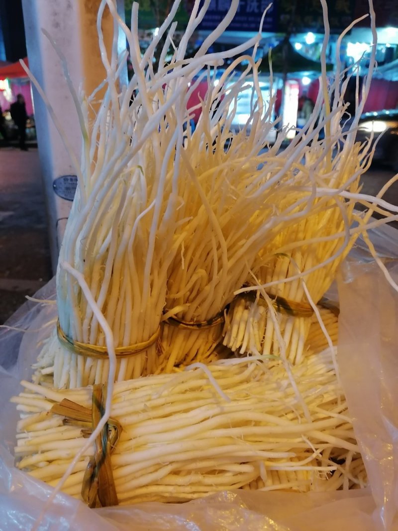 洋参须子