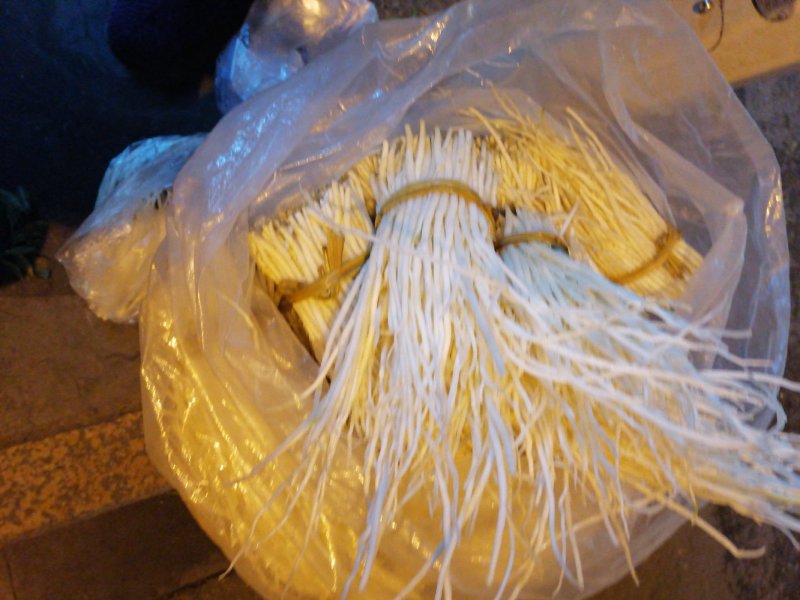 洋参须子