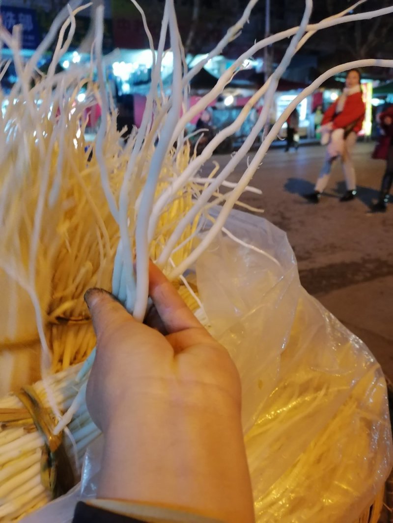 洋参须子