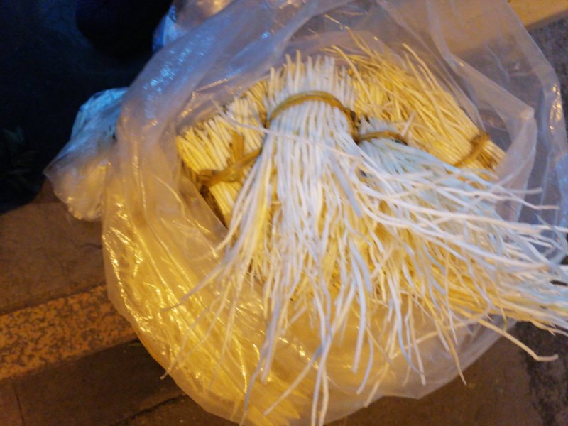 洋参须子