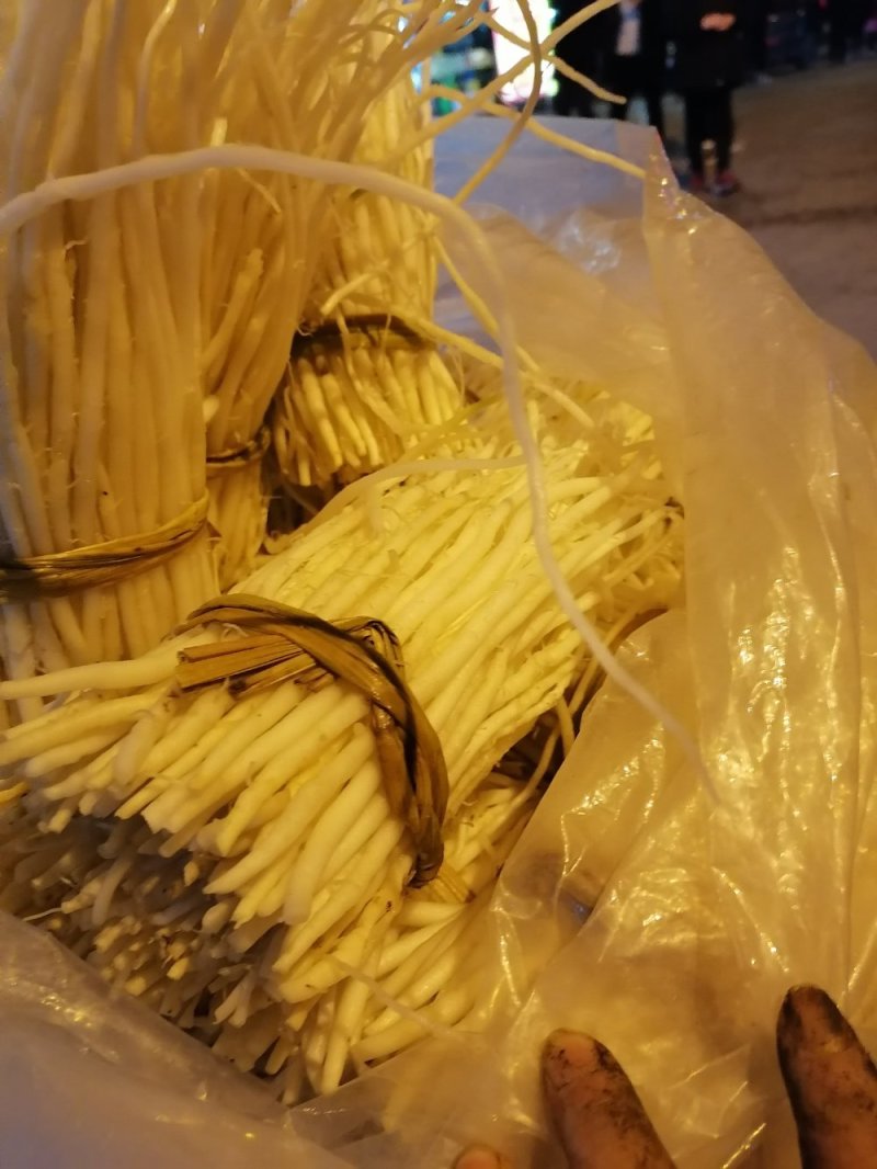 洋参须子