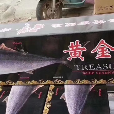 各种海产品