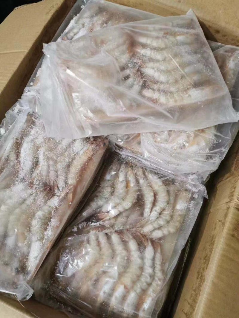 生冻明虾大量上市中新鲜冷冻品质好价格优