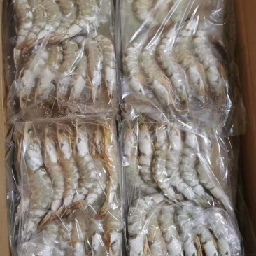生冻明虾大量上市中新鲜冷冻品质好价格优
