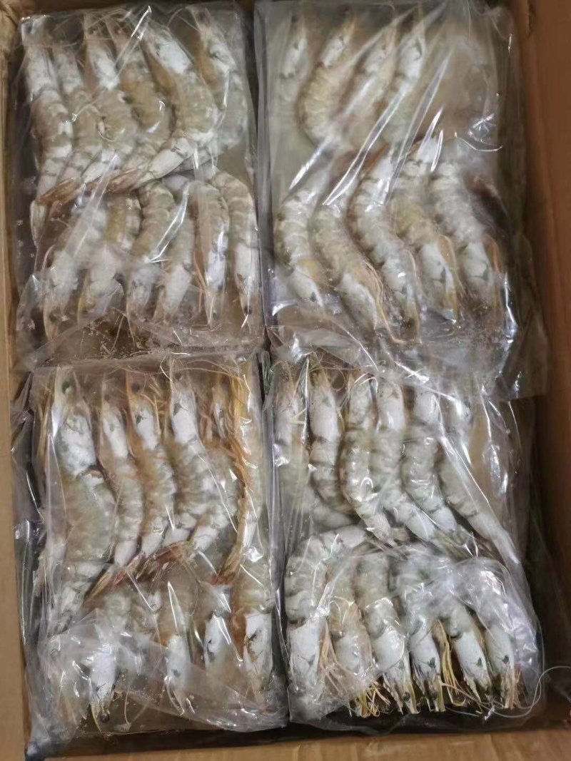 生冻明虾大量上市中新鲜冷冻品质好价格优