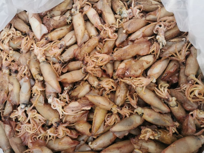 烤虾对虾进口虾虾仁
