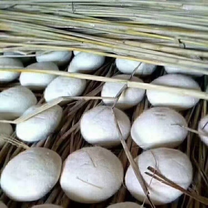 衡阳糄巴，可图片看货，产地直供，支持线上保障交易