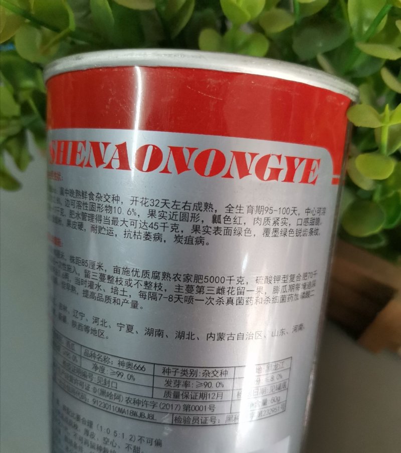 神奥666精品西瓜种子皮色绿瓤色红产量高皮薄坚韧耐储运
