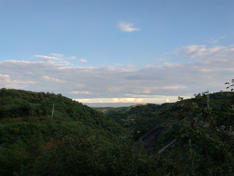 山林承包带林权证