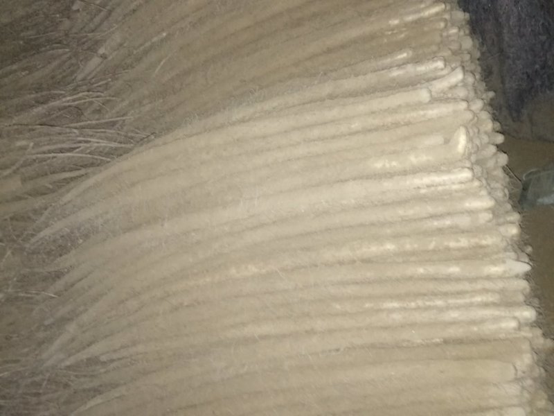 铁棍山药要了联系我