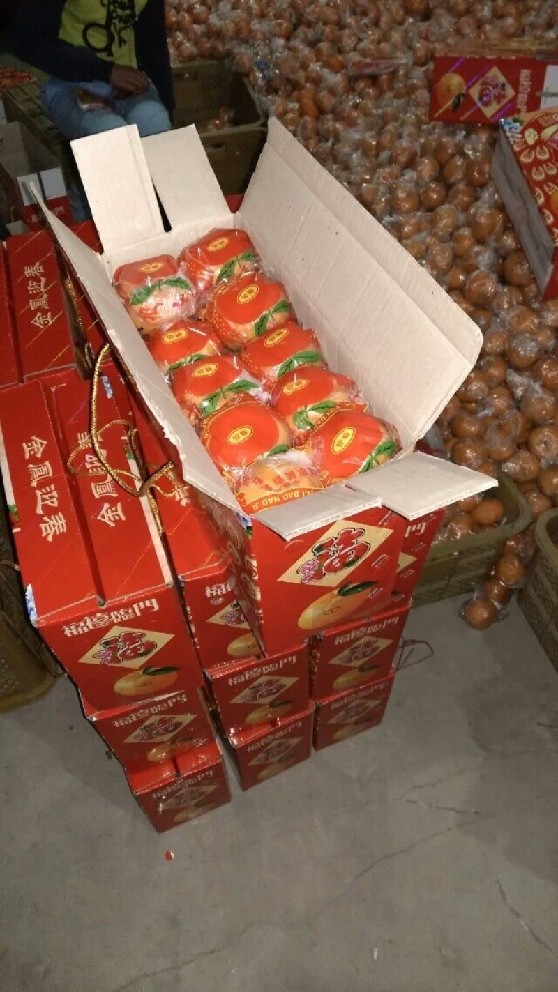 椪柑芦柑储存果大量供货口感非常好