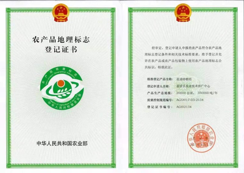 荔浦砂糖桔30-40果径特级精品5斤包邮新鲜采摘品质保证