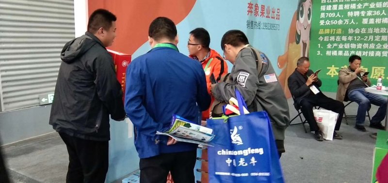 荔浦砂糖桔30-40果径特级精品5斤包邮新鲜采摘品质保证