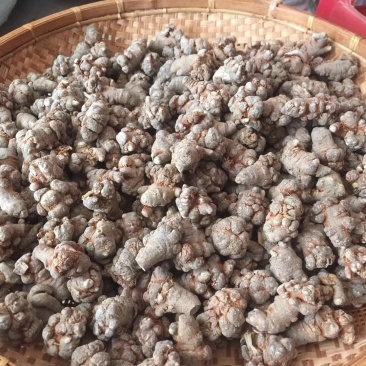 三七，文山三七，田七，云南三七，野生三七。