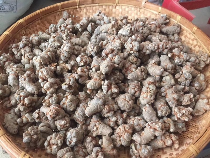 三七，文山三七，田七，云南三七，野生三七。